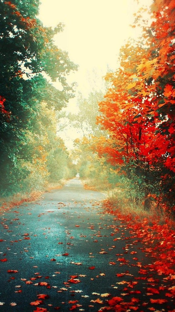 imagenes de paisajes para fondo de pantalla de celular