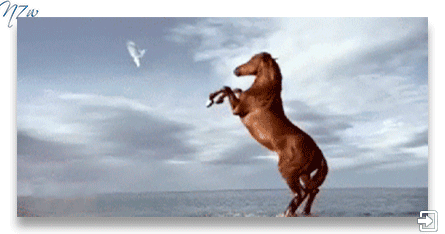 ▷ ¡100 Fondos De Caballos Hermosos! | Fondos de Pantalla ▷ ¡100 Fondos De Caballos Hermosos! | Fondos de Pantalla