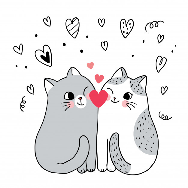 Gatos enamorados
