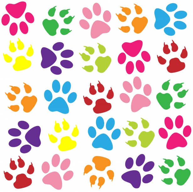 imagenes de huellas de perro de colores