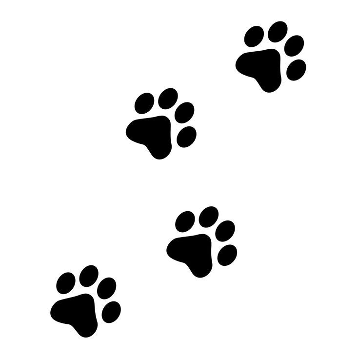 dibujos de huellas de perro para imprimir