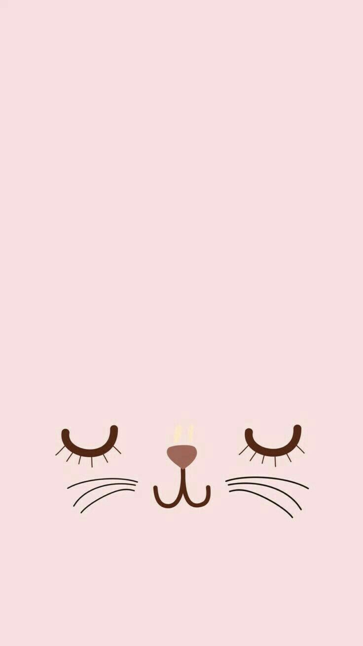 Fondo rosa con gato Tumbrl