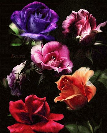 Wallpapers de rosas animadas | Fondos de Pantalla Wallpapers de rosas animadas | Fondos de Pantalla