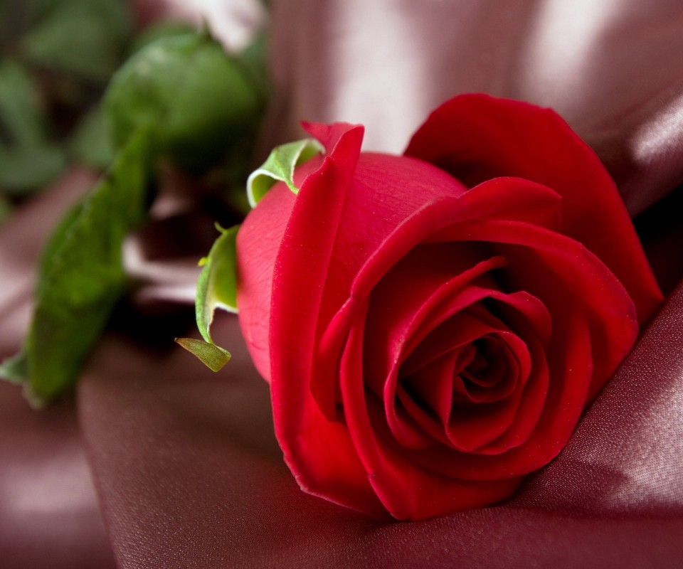My Image 10