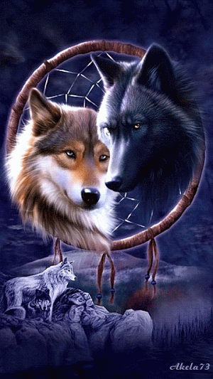 imagen de dos lobos