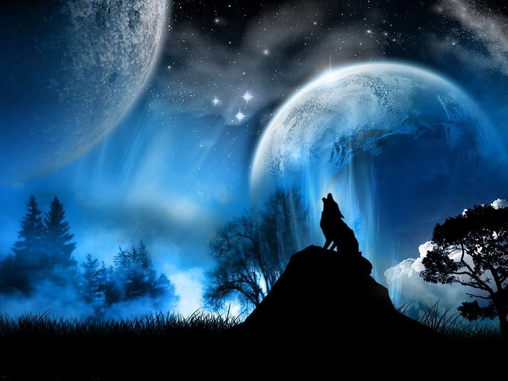 Lobo en la luna