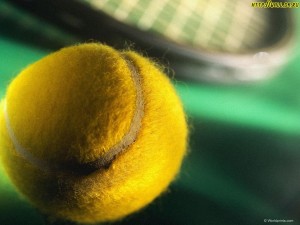 fondos de deportes gratis