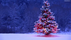 fondos arbolitos navidad