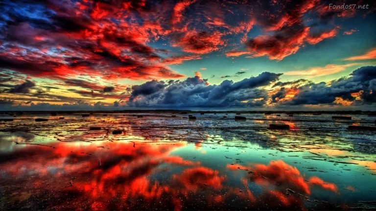 100 Fondos de Pantalla Gratis | Fondos de Pantalla