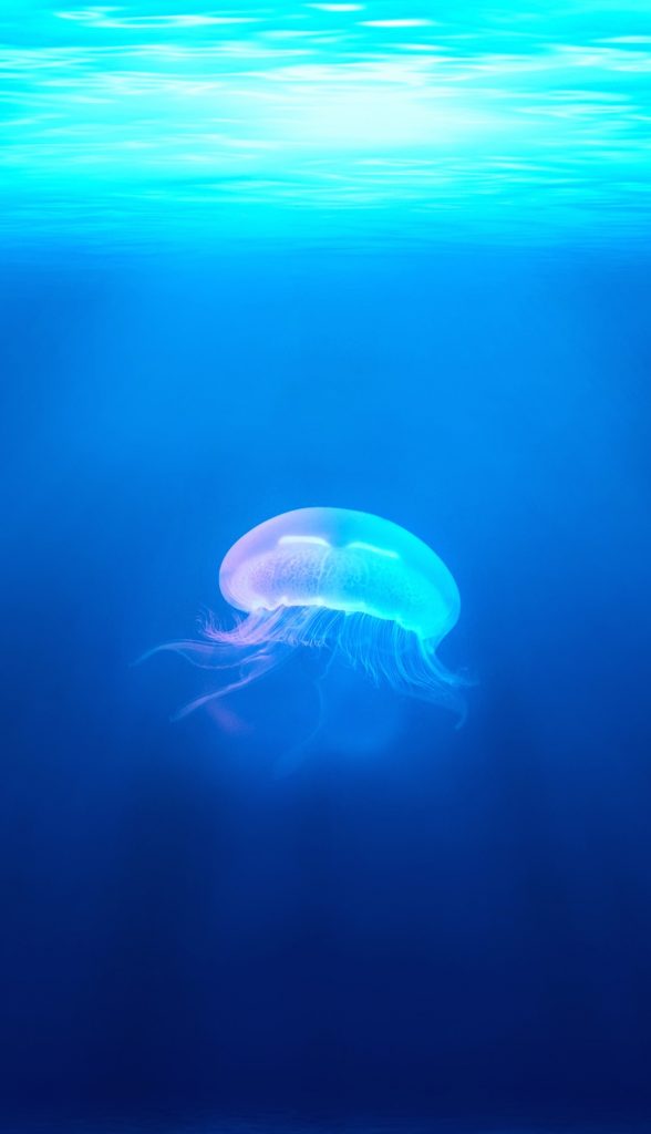 fondos de pantalla con movimiento para iphone 5s