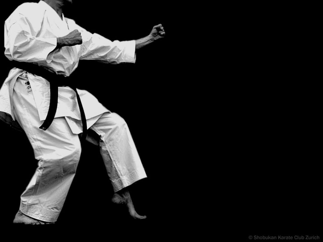 Imagen Karate