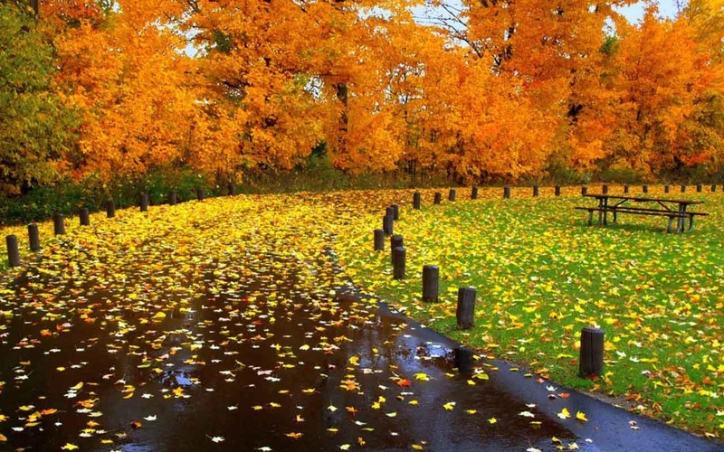 Wallpaper de otoño