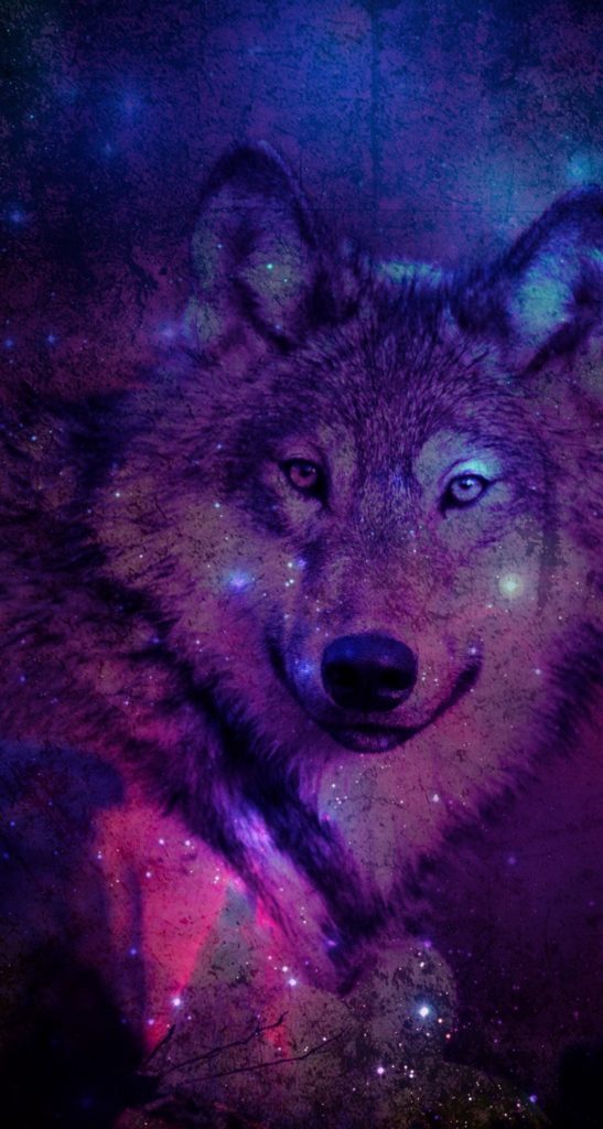 fondos de pantalla de lobos para celular