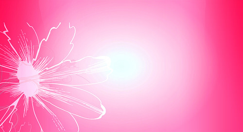 ▷ Wallpapers Fondo Rosa | Fondos de Pantalla