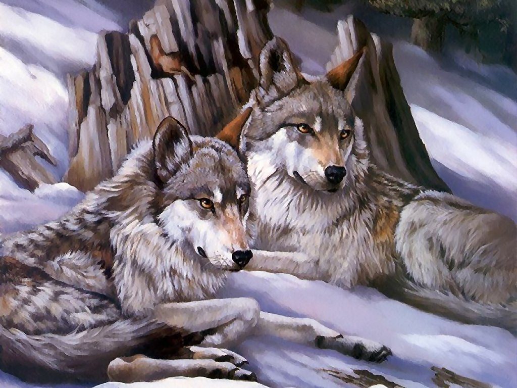 las mejores imagenes de lobos para dibujar