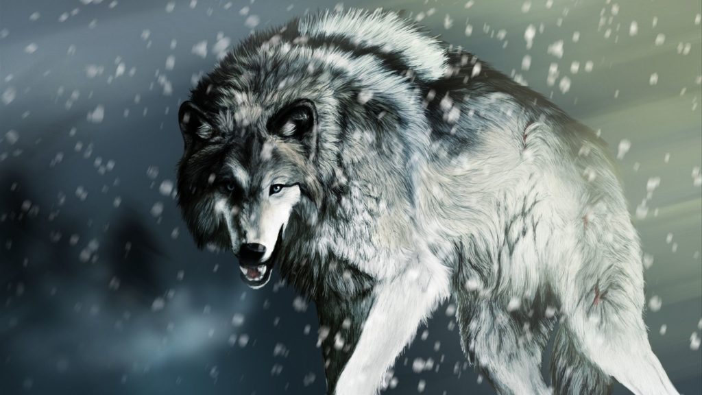lobo wallpaper 4k