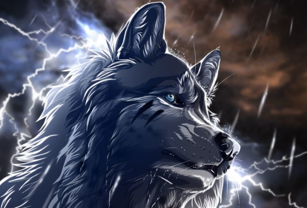 lobo wallpaper 4k