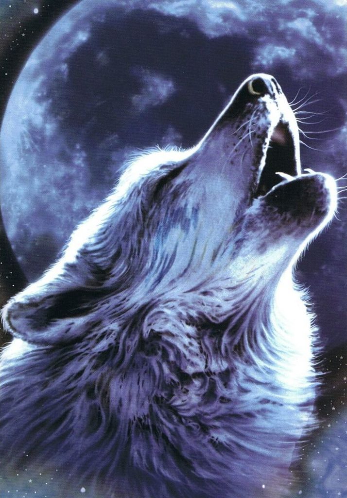 fondos de pantalla de lobos para celular que se mueven de lobos