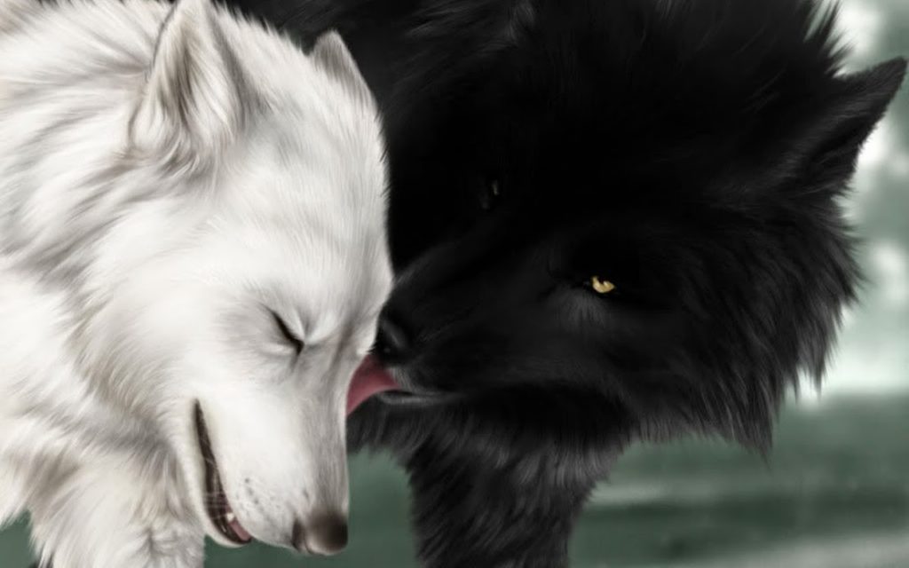 Fondos de escritorio lobos