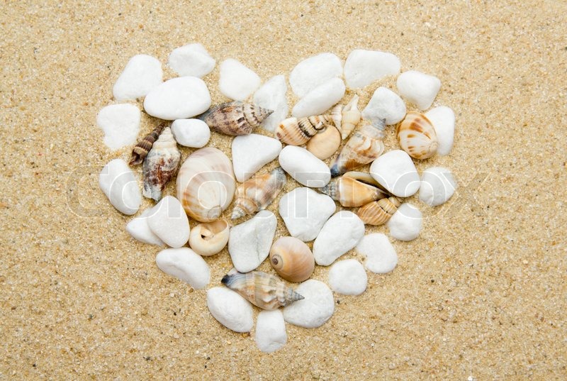 heart sand shell