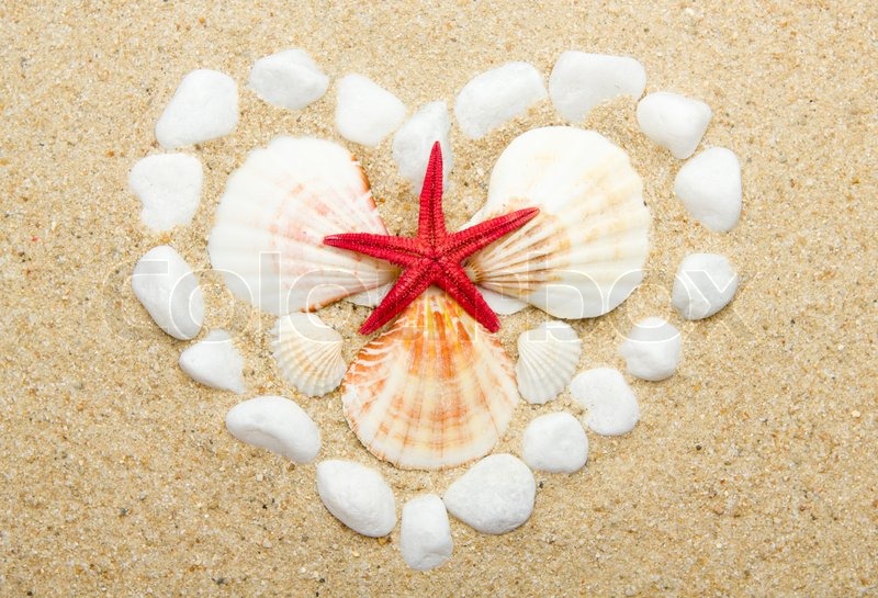heart sand shell