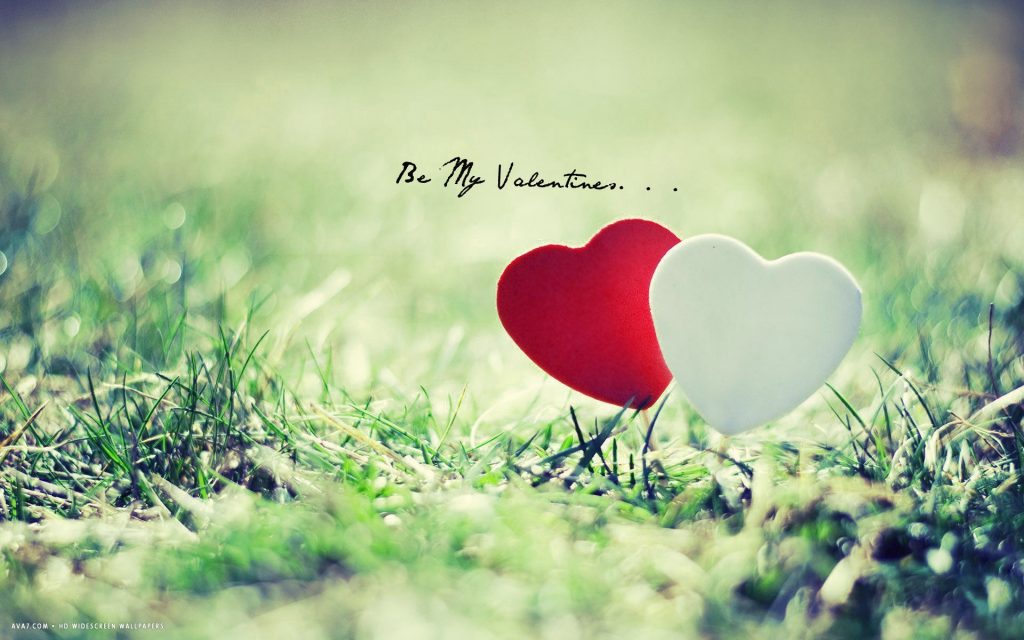 heart valve macro- and microstructure