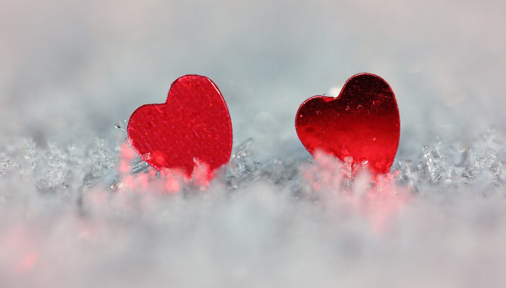 macro heart of the wild