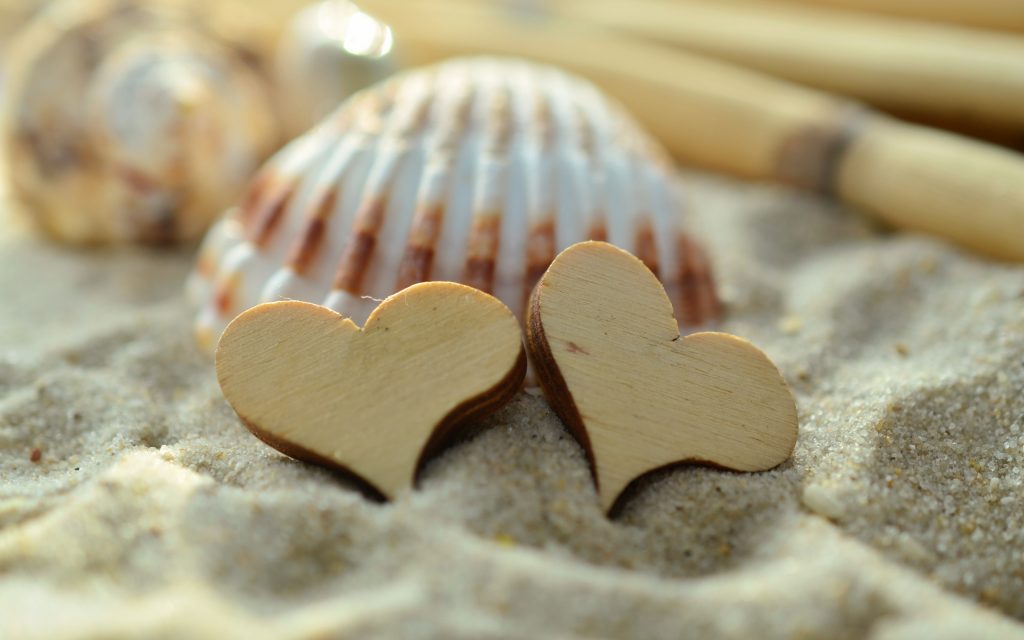 heart sand shell