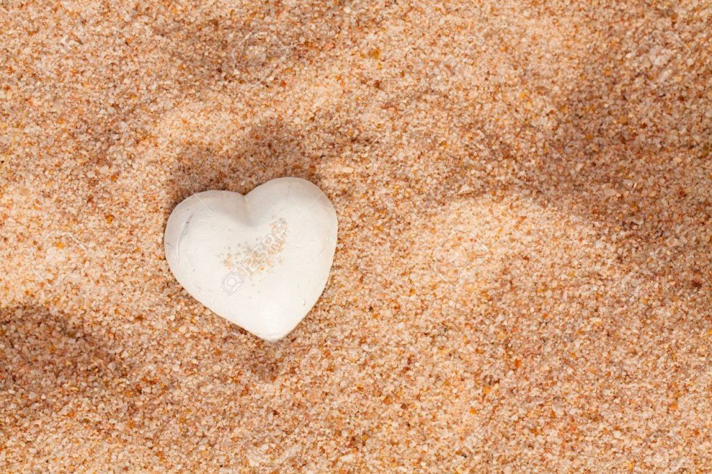 heart sand shell