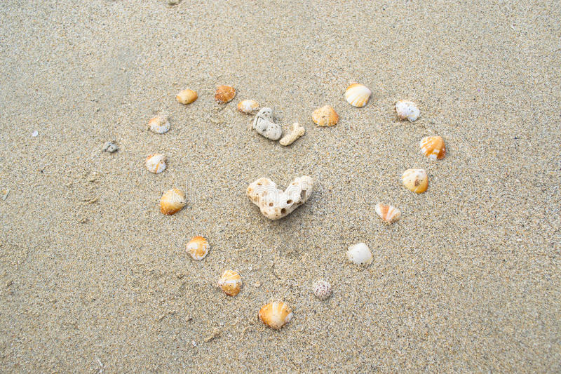 heart sand shell