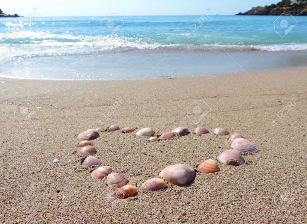 heart sand shell