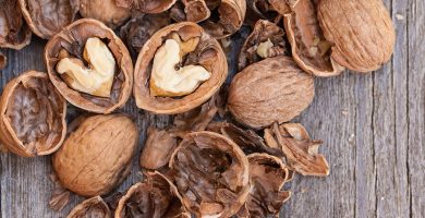 walnuts heart shell
