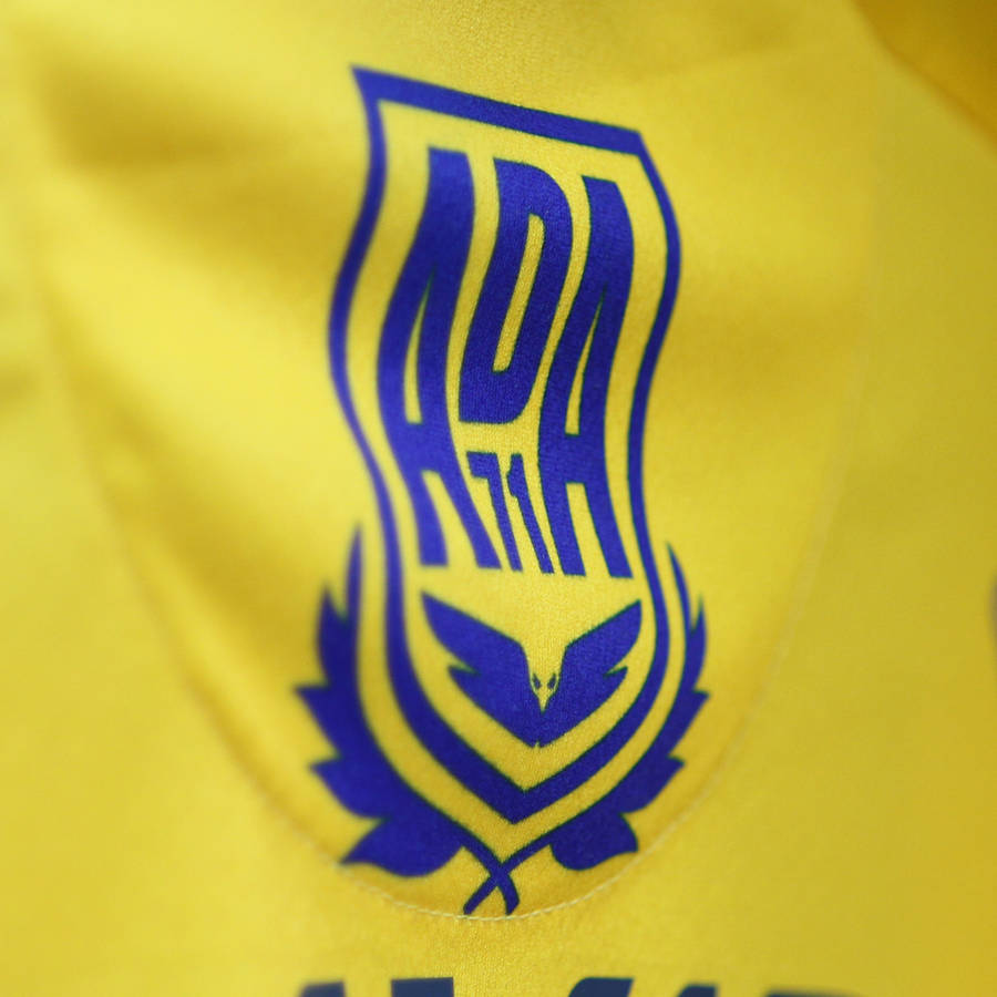 Escudo en desenfoque