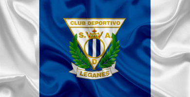 Logo y bandera