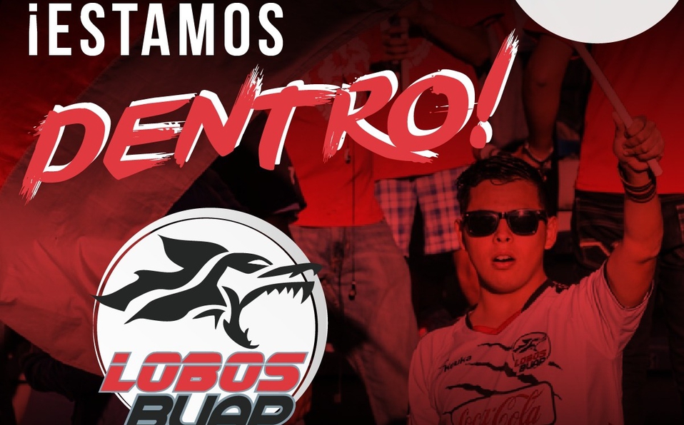 Lobos adentro de la liga