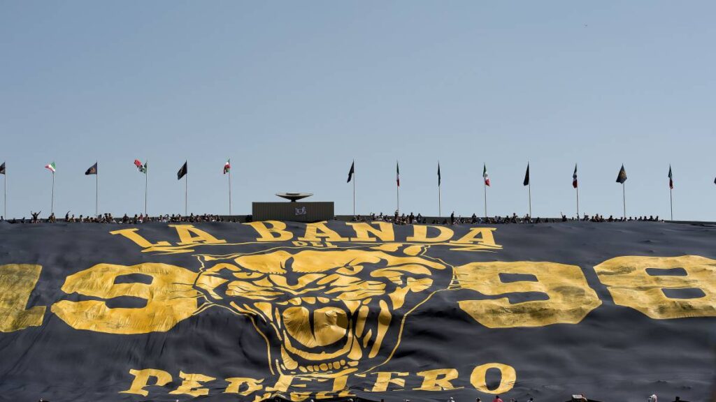 Mosaico de los pumas