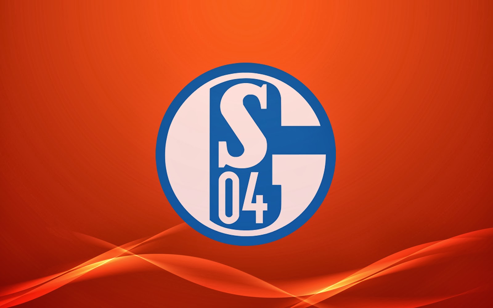 Fondos del Schalke