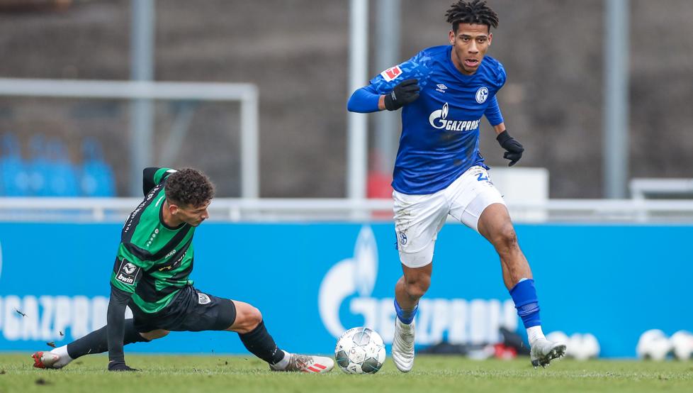 Todibo