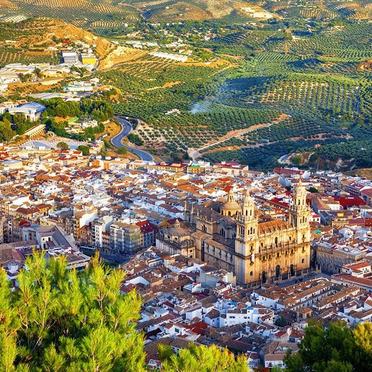 Visita Jaén 