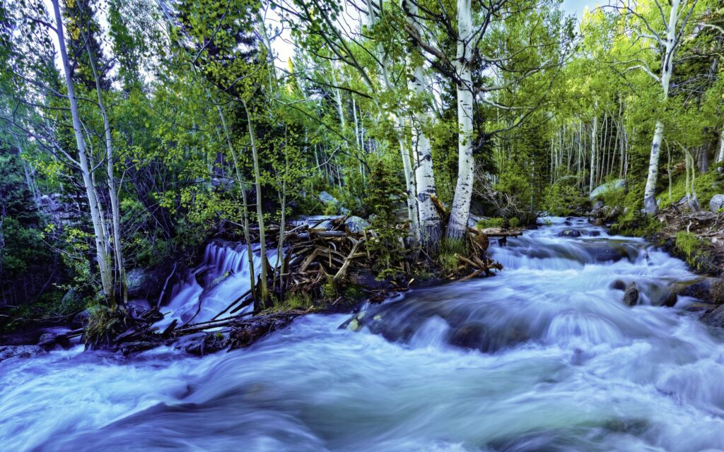 100+ Fondos de Pantalla de Ríos ¡Increíbles! ️